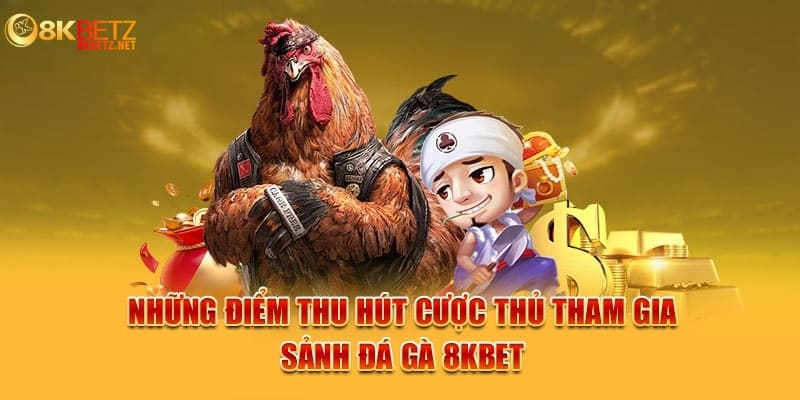 Sảnh đá gà kịch tính tại 8Kbet