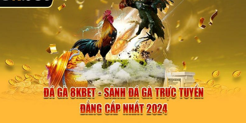 Đá gà 8kbet - Sân chơi hấp dẫn và thú vị hàng đầu hiện nay