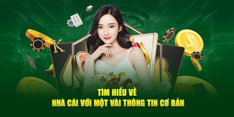 Giới Thiệu N666 - Thương Hiệu Cá Cược Trực Tuyến Hàng Đầu